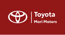 MORI MOTOR'S COMERCIO DE VEICULOS LTDA