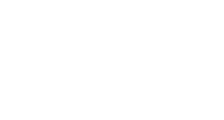 Pulse