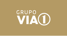 VIA SUL VEICULOS SA
