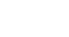 Eleve alimentos processados ltda