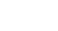 VIA SUL VEICULOS SA