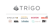 GRUPO TRIGO