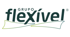 Flexível Indústria e Comércio Ltda