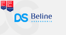 DS BELINE ASSESSORIA